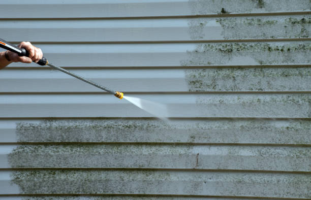 Local Pressure Washing Services in Van Vleck, TX
